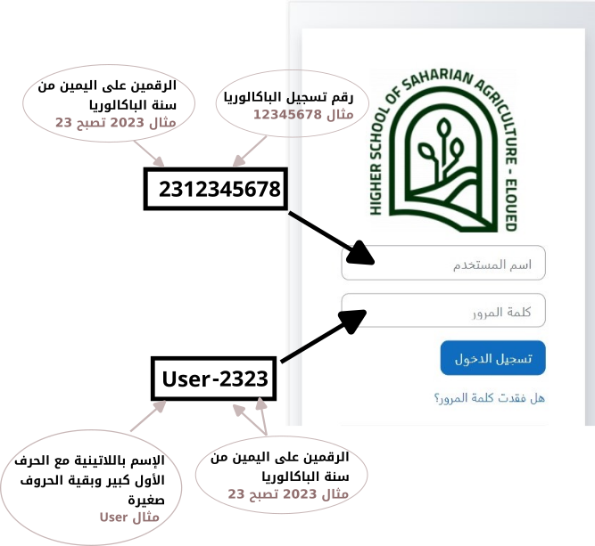 توضيح معلومات الدحول